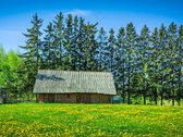 Parduodama renovuota apšiltinta sodyba - nuotraukos Nr. 7