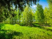 Parduodama renovuota apšiltinta sodyba - nuotraukos Nr. 11