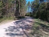 Parduodami greta esantis du žemės sklypai - nuotraukos Nr. 5