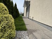 Parduodamas tvarkingas, išpuoselėtas, pilnai - nuotraukos Nr. 19