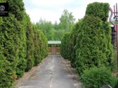 Parduodamas Pilnai Veikiantis Braškių Verslas - nuotraukos Nr. 16