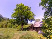 Švenčionių raj., Beržinkų vs. 6, nuosavame - nuotraukos Nr. 7