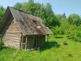Švenčionių raj., Beržinkų vs. 6, nuosavame - nuotraukos Nr. 14