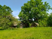 Švenčionių raj., Beržinkų vs. 6, nuosavame - nuotraukos Nr. 11