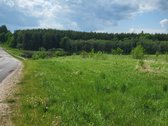 Prie įvažiavimo į Saldutiškį , ribojasi su