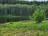Prie įvažiavimo į Saldutiškį , ribojasi su - nuotraukos Nr. 2