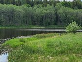 Prie įvažiavimo į Saldutiškį , ribojasi su - nuotraukos Nr. 3
