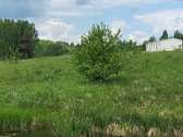 Prie įvažiavimo į Saldutiškį , ribojasi su - nuotraukos Nr. 5