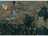 Didžiuosiuose Lygainuose, Pakrempės G. - nuotraukos Nr. 12