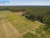 Didžiuosiuose Lygainuose, Pakrempės G. - nuotraukos Nr. 2