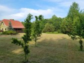 Parduodama sodybą su garantuota ramybę gamtos - nuotraukos Nr. 2