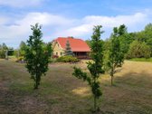 Parduodama sodybą su garantuota ramybę gamtos - nuotraukos Nr. 3