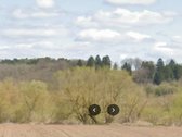 Parduodami du besiribojantys žemės ūkio - nuotraukos Nr. 7
