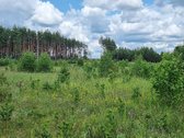 Parduodami žemės ūkio paskirties sklypai - nuotraukos Nr. 16