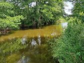 Parduodami žemės ūkio paskirties sklypai - nuotraukos Nr. 5