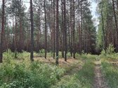 Parduodami žemės ūkio paskirties sklypai - nuotraukos Nr. 15