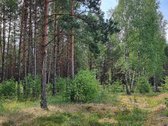Parduodami žemės ūkio paskirties sklypai - nuotraukos Nr. 3