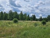 Parduodami žemės ūkio paskirties sklypai - nuotraukos Nr. 19