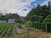 Parduodama unikali vokiškos statybos - nuotraukos Nr. 9
