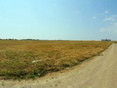 Namų valdos sklypai gyvenamųjų namų statybai - nuotraukos Nr. 7