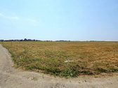Namų valdos sklypai gyvenamųjų namų statybai - nuotraukos Nr. 8