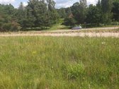 Parduodamas sklypas randasi salia - nuotraukos Nr. 5