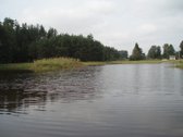 Parduodamas 3,94 ha namų valdos, žemės ūkio, - nuotraukos Nr. 2