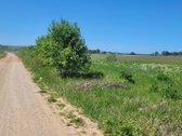 Tvarkingoje ir ramioje kaimynystėje, šalia - nuotraukos Nr. 2