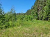 Tvarkingoje ir ramioje kaimynystėje, šalia - nuotraukos Nr. 3