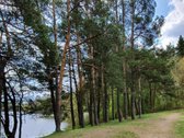 Vilnius - Didieji Gulbinai - Ežeras - Miškas - nuotraukos Nr. 7