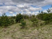 Parduodami du žemės ūkio paskirties sklypai - nuotraukos Nr. 5