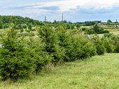 Kai Namai Turi Horizontą – 5 Sklypai Prie - nuotraukos Nr. 20