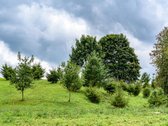 Kai Namai Turi Horizontą – 5 Sklypai Prie - nuotraukos Nr. 26