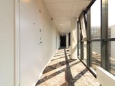Alkos Apartamentai: Jūsų Poilsio Taškas Palangoje - nuotraukos Nr. 11