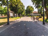 Alkos Apartamentai: Jūsų Poilsio Taškas Palangoje - nuotraukos Nr. 15