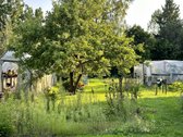 Pasiūlymas Ieškantiems Namų Gamtos Apsuptyje. - nuotraukos Nr. 33