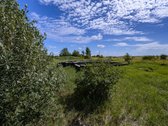 Palangos pl., Vydmantuose, šalia Palangos,