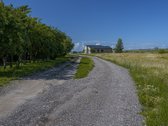 Palangos pl., Vydmantuose, šalia Palangos, - nuotraukos Nr. 2