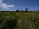 Palangos pl., Vydmantuose, šalia Palangos, - nuotraukos Nr. 5