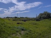 Palangos pl., Vydmantuose, šalia Palangos, - nuotraukos Nr. 6