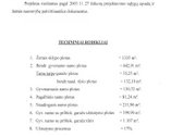 Palangos pl., Vydmantuose, šalia Palangos, - nuotraukos Nr. 17