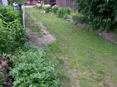 Parduodamas sklypas su senu namu patrauklioje - nuotraukos Nr. 7