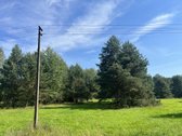 Sklypas randasi labai gražių mišku apsuptame - nuotraukos Nr. 2
