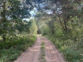 Sklypas randasi labai gražių mišku apsuptame - nuotraukos Nr. 9