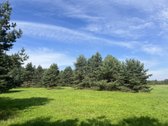 Sklypas randasi labai gražių mišku apsuptame - nuotraukos Nr. 3
