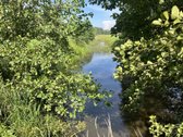 Sklypas randasi labai gražių mišku apsuptame - nuotraukos Nr. 5