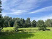 Sklypas randasi labai gražių mišku apsuptame - nuotraukos Nr. 7