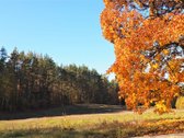 Parduodamas Žemės Sklypas 1.97 Ha Jakšiškio K - nuotraukos Nr. 3