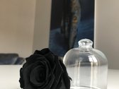 Išnuomojami moderniai įrengti 2 kambarių - nuotraukos Nr. 10