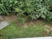 Išnuomojamas šviesus ir jaukus butas - nuotraukos Nr. 16